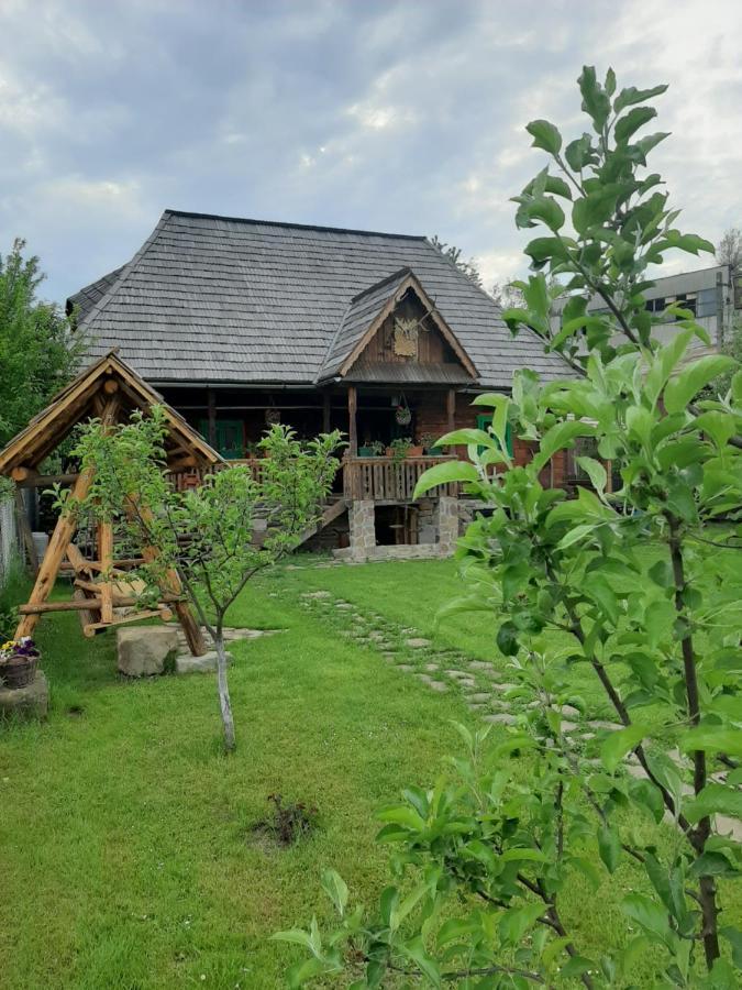 Pajisti Verzi / Meadows * Vişeu de Sus