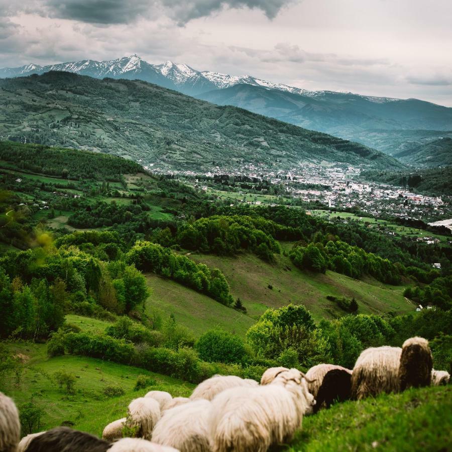 Agroturismo Pajisti Verzi / Meadows Vişeu de Sus