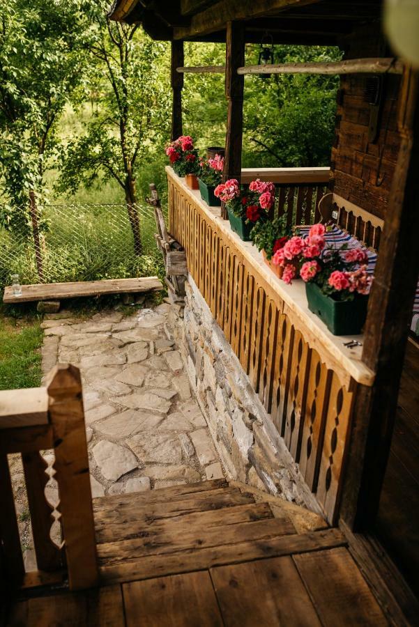 Agroturismo Pajisti Verzi / Meadows