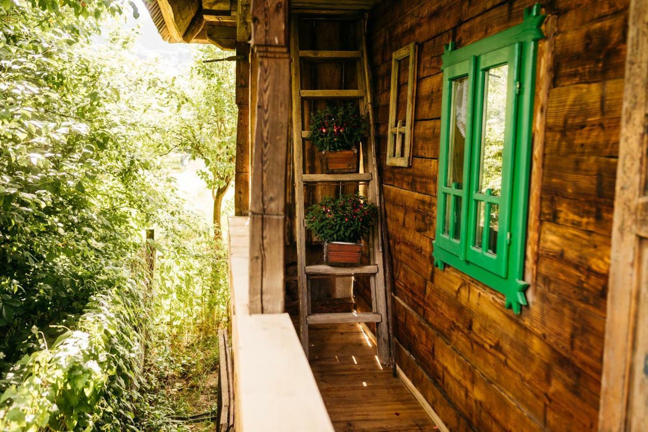 Agroturismo Pajisti Verzi / Meadows