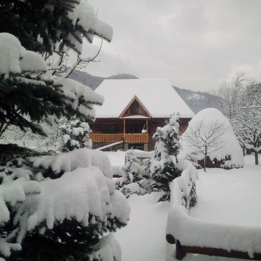 Pajisti Verzi / Meadows Vişeu de Sus